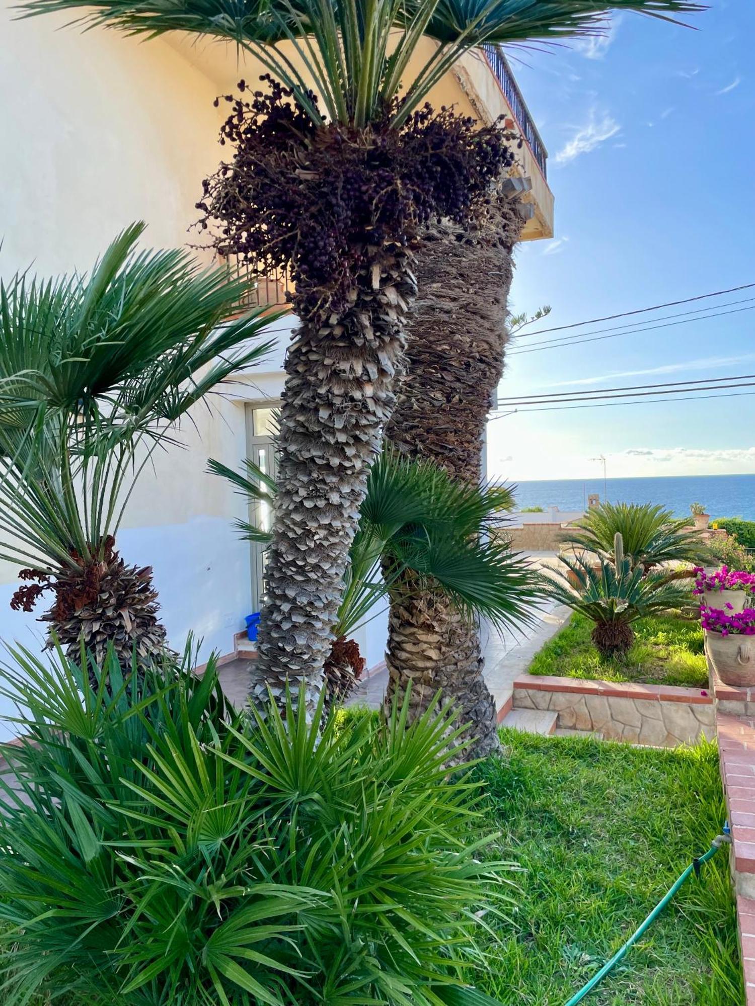 Villa Sul Mare Palazzolo Trappeto  Eksteriør billede