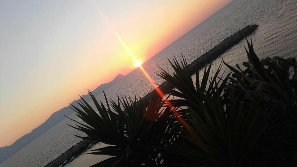 Villa Sul Mare Palazzolo Trappeto  Eksteriør billede